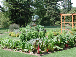 Schedel Arboretum and Gardens