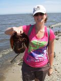 Amber and crab