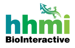 HHMI BioInteractive logo