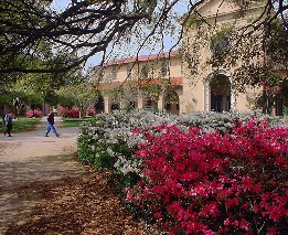 Photo at LSU