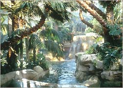 Photo of the Hotel Mirage rainforest