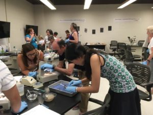 Photo of 3 faculty/staff during a Major Workshop at ABLE 2017 (fish parasites)