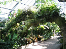 Photo of the conservatory at the Calgary Zoo