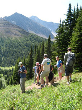 photo of people on the mountain at the Kananaskis Field Station, ABLE 2013