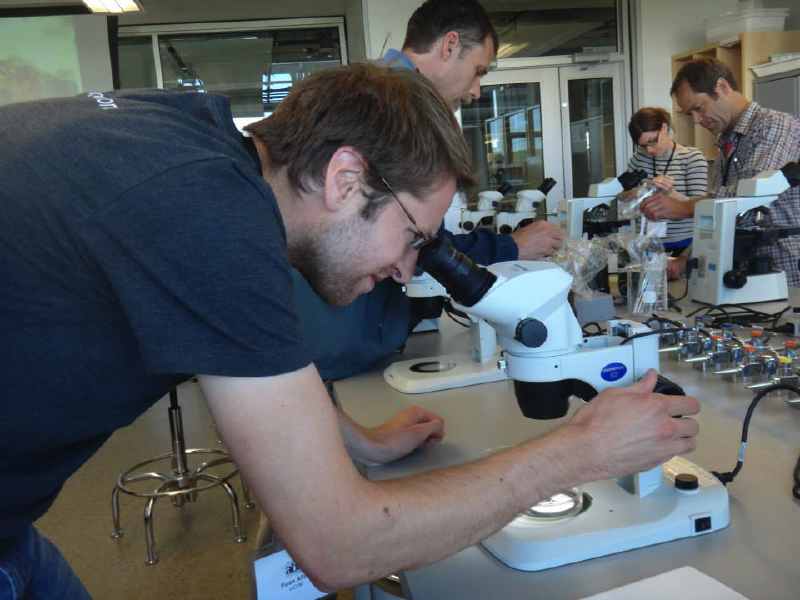 Photo of conference participant looking through microscope