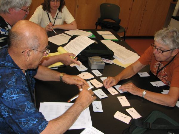 photo of participants at a workshop at ABLE 2011