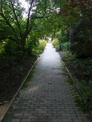 photo of Coker Arboretum