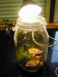 Climate Change Biomes (1)Sm