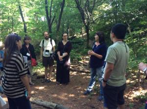 Forest plot Mallison