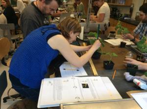 Laboratory aquaponics