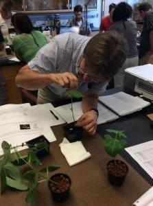 Laboratory aquaponics2