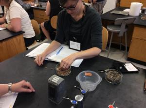 Selection Major workshop