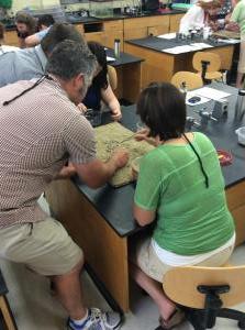 Selection Major workshop2