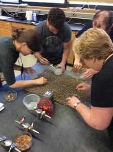 Selection Major workshop4