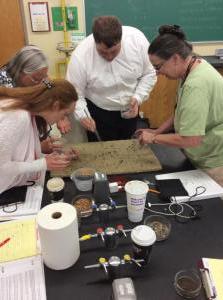 Selection Major workshop5