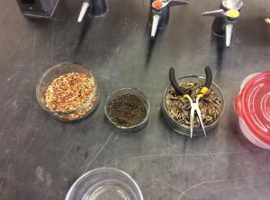 Selection Major workshop tools