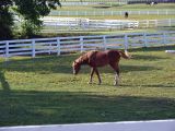 DSC08177m_1