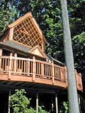 Sarah Deel Treehouse (1)