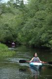 liane_lost_in_the_wharton_wilderness